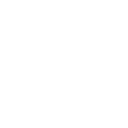 Roadworthy Inspections Icon