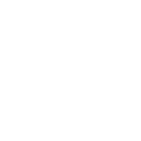 Why Us Icon 1