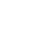 Why Us Icon 3